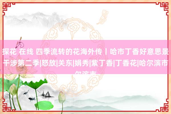 探花 在线 四季流转的花海外传丨哈市丁香好意思景干涉第二季|怒放|关东|娟秀|紫丁香|丁香花|哈尔滨市