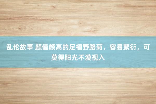 乱伦故事 颜值颇高的足褶野路菊，容易繁衍，可莫得阳光不漠视入