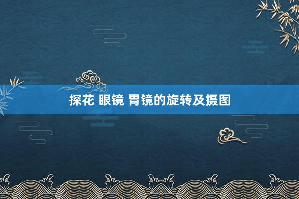 探花 眼镜 胃镜的旋转及摄图