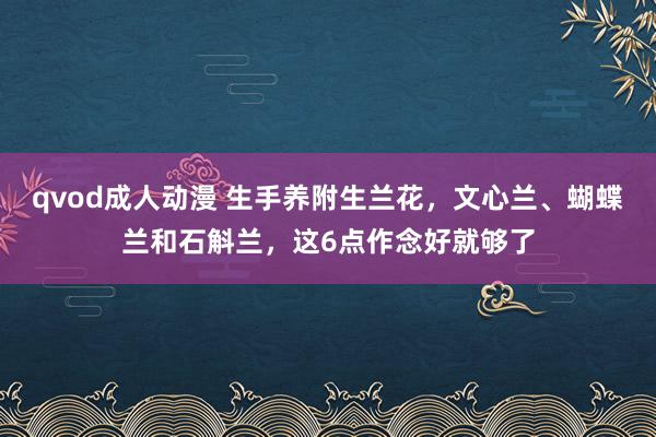 qvod成人动漫 生手养附生兰花，文心兰、蝴蝶兰和石斛兰，这6点作念好就够了
