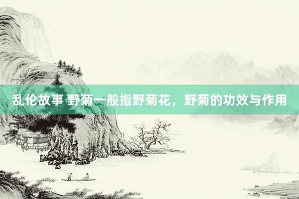 乱伦故事 野菊一般指野菊花，野菊的功效与作用