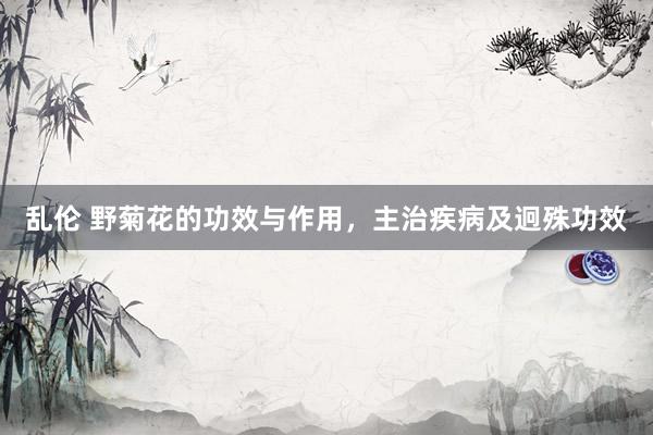 乱伦 野菊花的功效与作用，主治疾病及迥殊功效