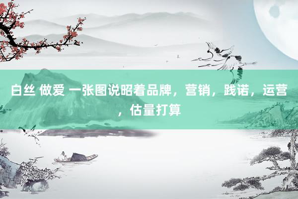 白丝 做爱 一张图说昭着品牌，营销，践诺，运营，估量打算